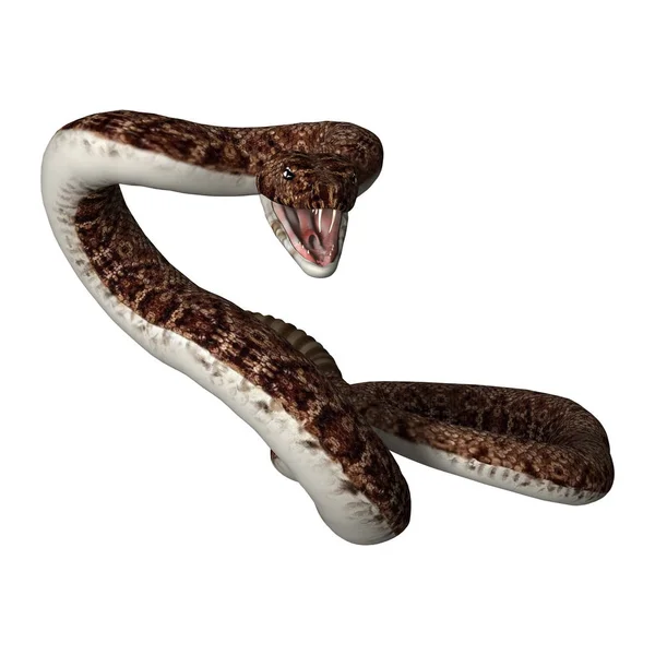 Rendering 3D Serpente a sonagli su bianco — Foto Stock