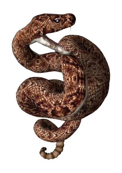 Rendering 3D Serpente a sonagli su bianco — Foto Stock