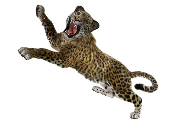 3D rendering Big Cat Jaguar op wit — Stockfoto