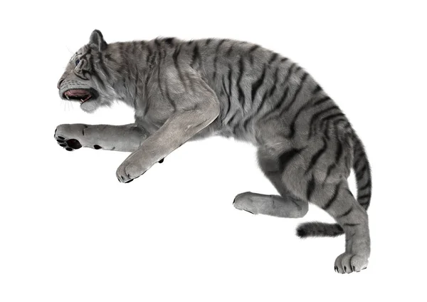 3D Rendering weißer Tiger auf weiss — Stockfoto