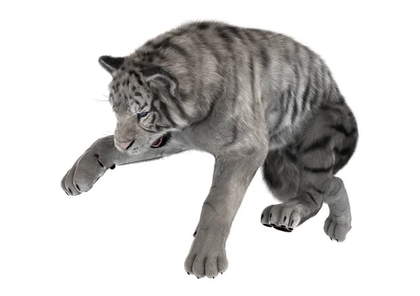 3D rendering fehér tigris-fehér — Stock Fotó