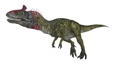 3D render dinozor Cryolophosaurus beyaz