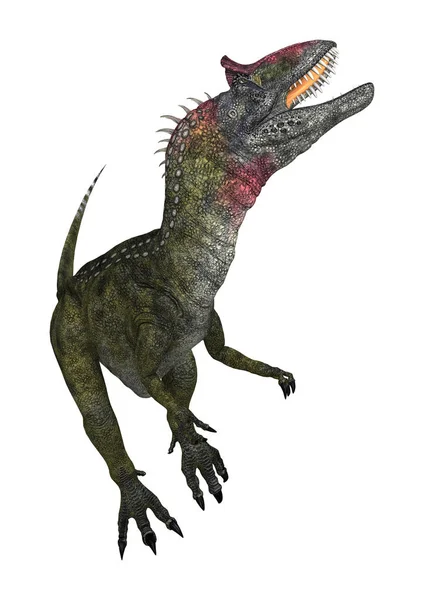 3D rendering dinoszaurusz Cryolophosaurus fehér — Stock Fotó