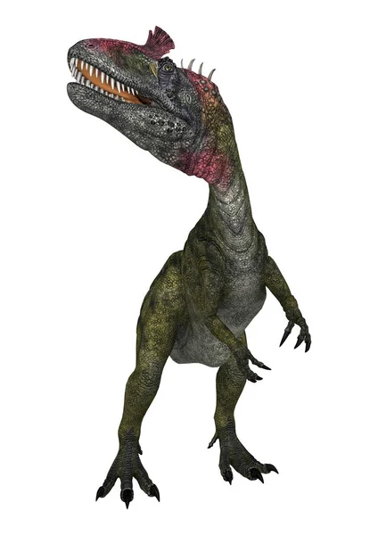 Dinosauro di rendering 3D Cryolophosaurus su bianco — Foto Stock