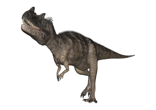 3D renderowania ceratozaur dinozaur na białym — Zdjęcie stockowe