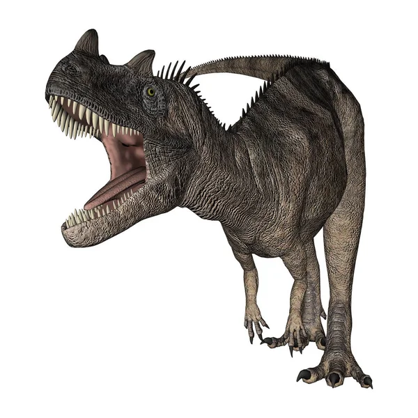 3D vykreslování dinosaurus Ceratosaurus na bílém — Stock fotografie