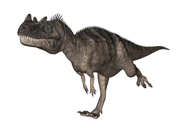 화이트에 3d 렌더링 공룡 Ceratosaurus — 스톡 사진