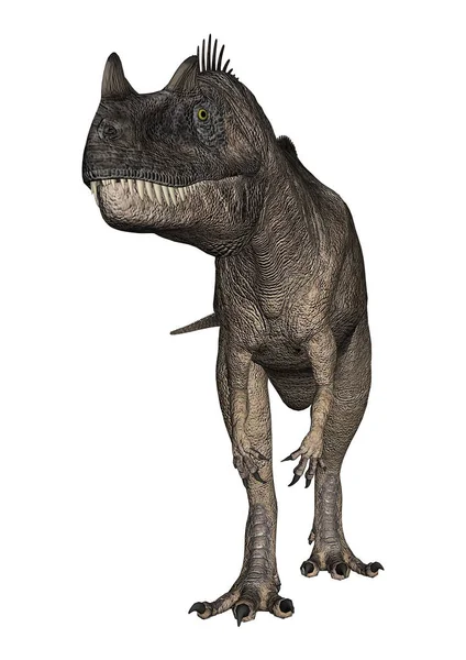 3D render dinozor Ceratosaurus beyaz — Stok fotoğraf