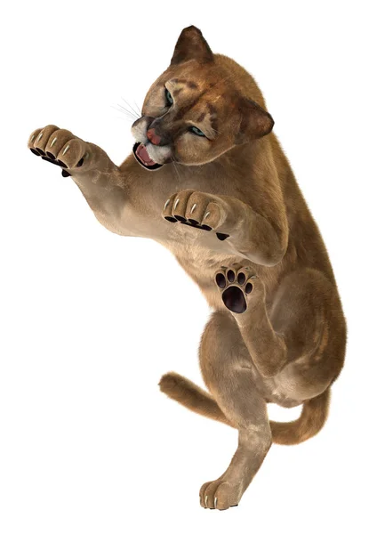 3D vykreslování Puma Big Cat na bílém — Stock fotografie