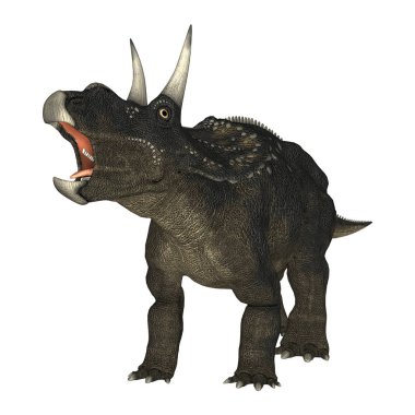 3D render dinozor Diceratops beyaz