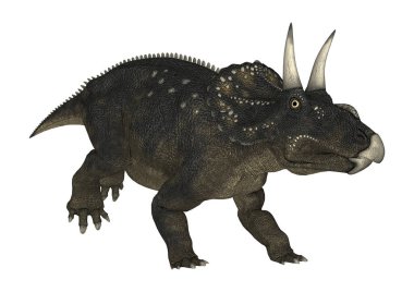 3D render dinozor Diceratops beyaz