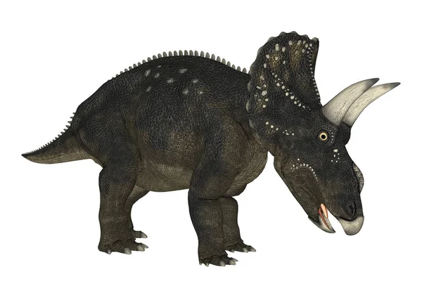 3D render dinozor Diceratops beyaz
