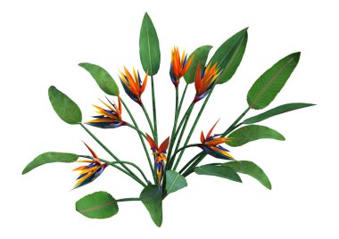 3D render STERLİÇYA beyaz