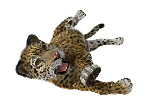 3D vykreslování Jaguar velké kočky na bílém — Stock fotografie