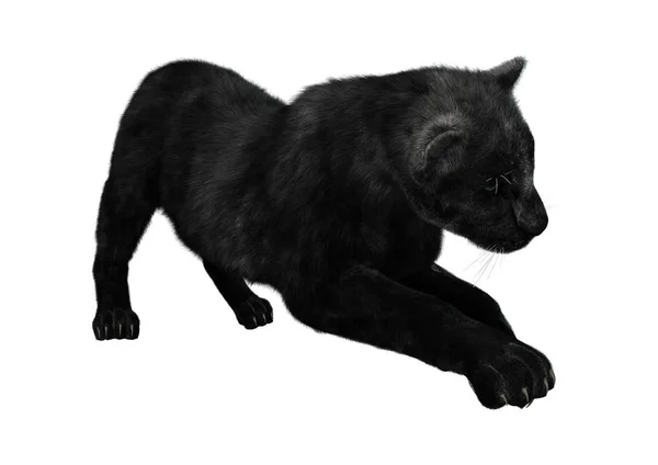 3D rendering Black Panther op wit — Stockfoto