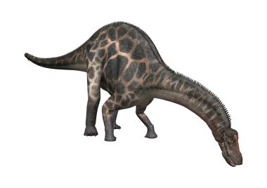 3D render dinozor Dicraeosaurus beyaz