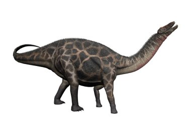 3D render dinozor Dicraeosaurus beyaz