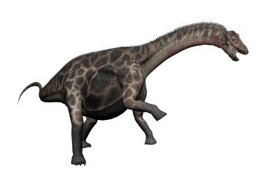 3D render dinozor Dicraeosaurus beyaz