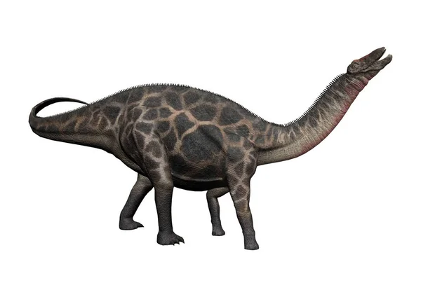 3D Rendering Dinosaurier dicraeosaurus auf weiß — Stockfoto