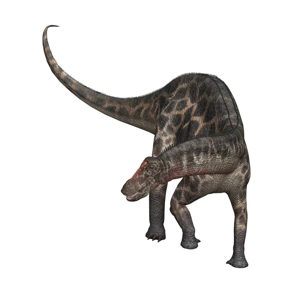 Representación en 3D del dinosaurio Dicraeosaurus en blanco — Foto de Stock