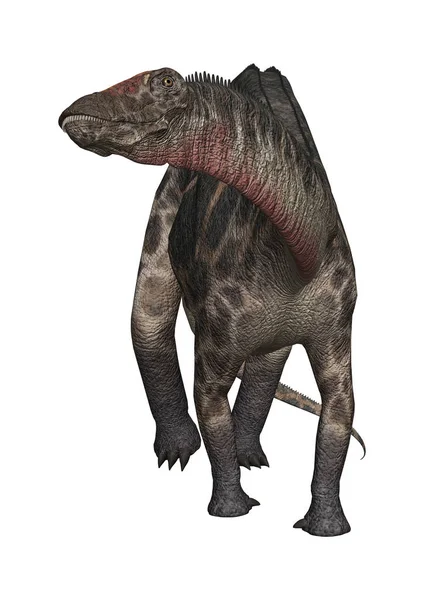 3D rendering dinosaurus Dicraeosaurus op wit — Stockfoto