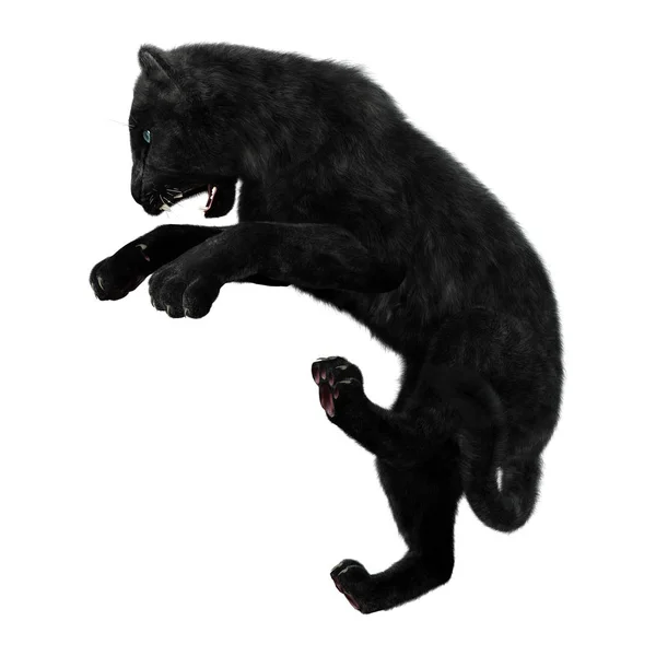 3D Rendering Black Panther on White — Stock Photo, Image