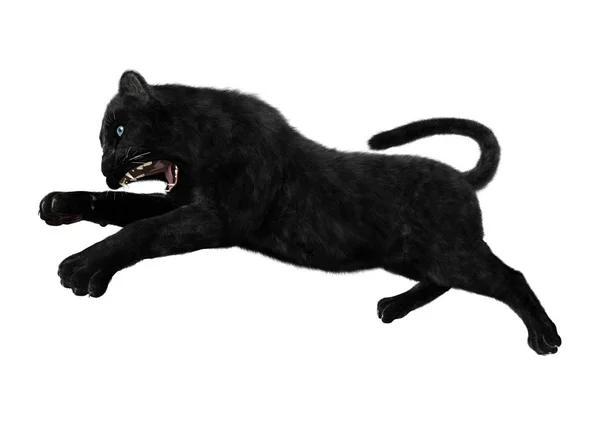 3D renderizando Pantera Negra em Branco — Fotografia de Stock