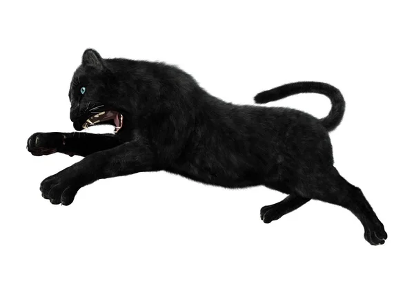 3D Rendering Black Panther auf Weiß — Stockfoto