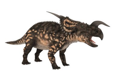 3D render dinozor Einiosaurus beyaz