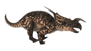 3D render dinozor Einiosaurus beyaz