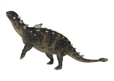 3D render dinozor Euplocephalus beyaz