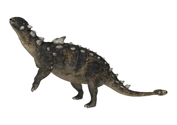 3D Rendering Dinosaurier Euoplocephalus auf Weiß — Stockfoto