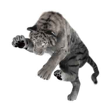 3D beyaz beyaz kaplan oluşturma