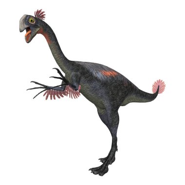 3D render dinozor Gigantoraptor beyaz