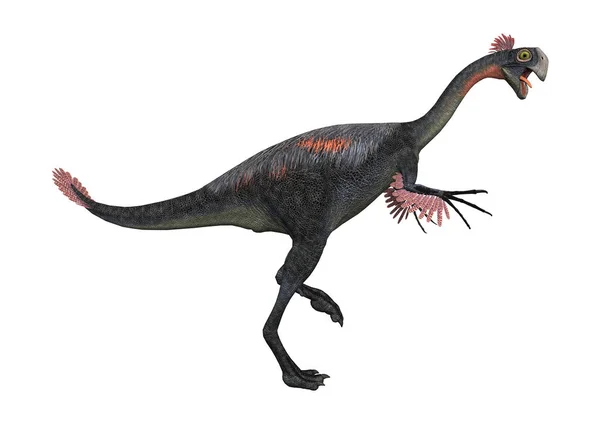 3D rendering dinosaurie Gigantoraptor på vit — Stockfoto