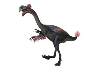 3D render dinozor Gigantoraptor beyaz