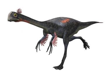 3D render dinozor Gigantoraptor beyaz
