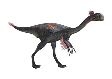 3D render dinozor Gigantoraptor beyaz