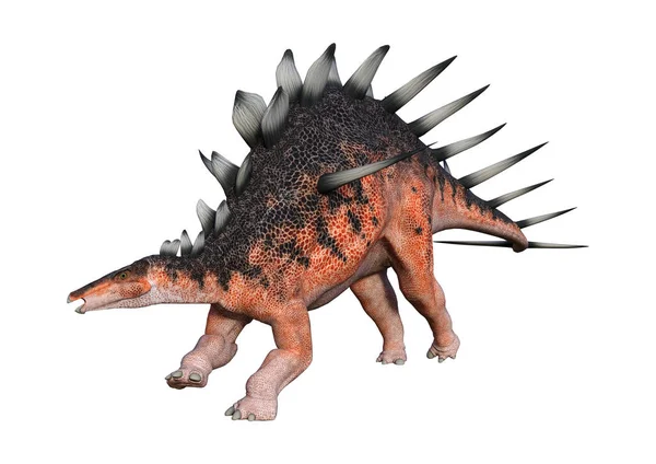 3D Rendering Dinosaurier kentrosaurus auf weiß — Stockfoto