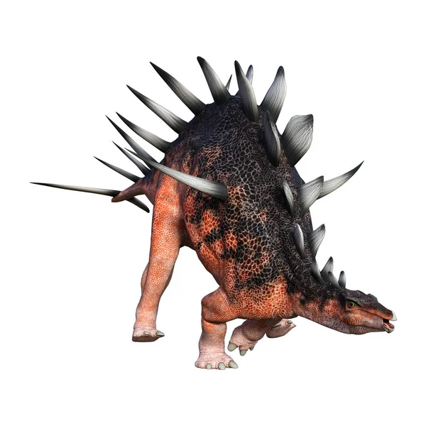 3D Rendering Dinosaurier kentrosaurus auf weiß — Stockfoto