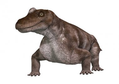 3D render dinozor Keratocephalus beyaz