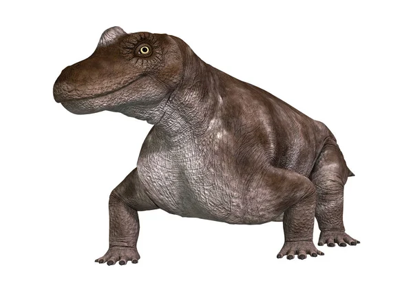 3D render dinozor Keratocephalus beyaz — Stok fotoğraf