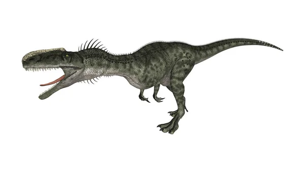 3D rendering dinoszaurusz Monolophosaurus fehér — Stock Fotó