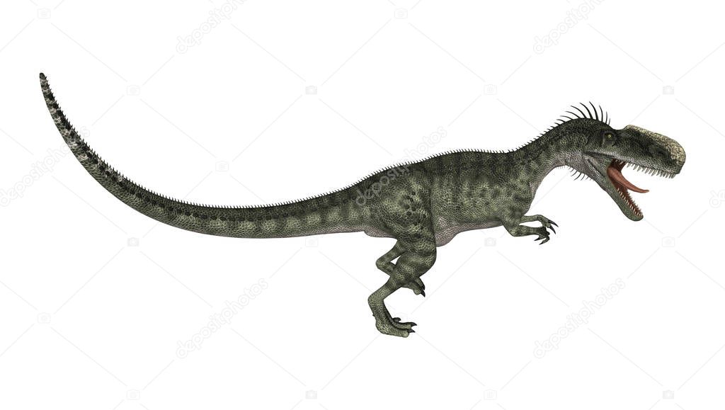 3D Rendering Dinosaur Monolophosaurus on White