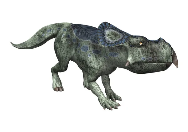 3D Rendering Dinosaurier Protoceratops auf Weiß — Stockfoto