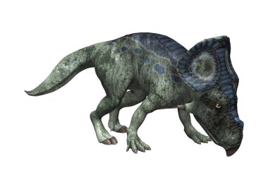 3D render dinozor Protoceratops beyaz