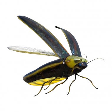 3D render yıldırım Bug beyaz