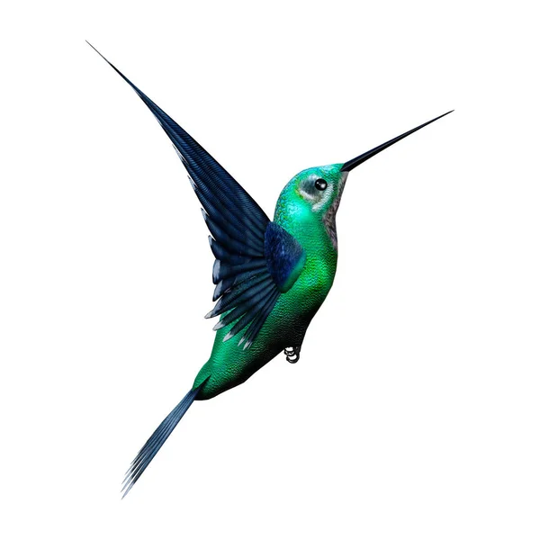 3D rendering βουίσει πουλί σε λευκό — Φωτογραφία Αρχείου