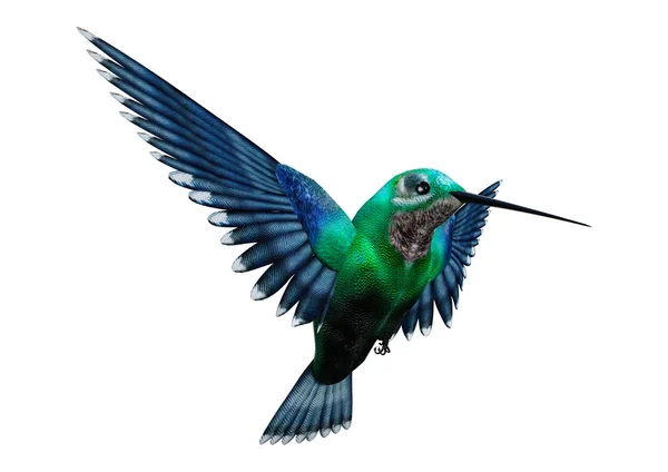 3D rendering Humming Bird op wit — Stockfoto