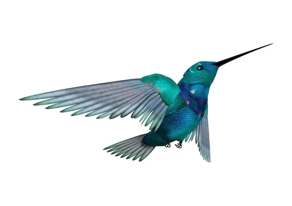 Representación 3D tarareando pájaro en blanco —  Fotos de Stock